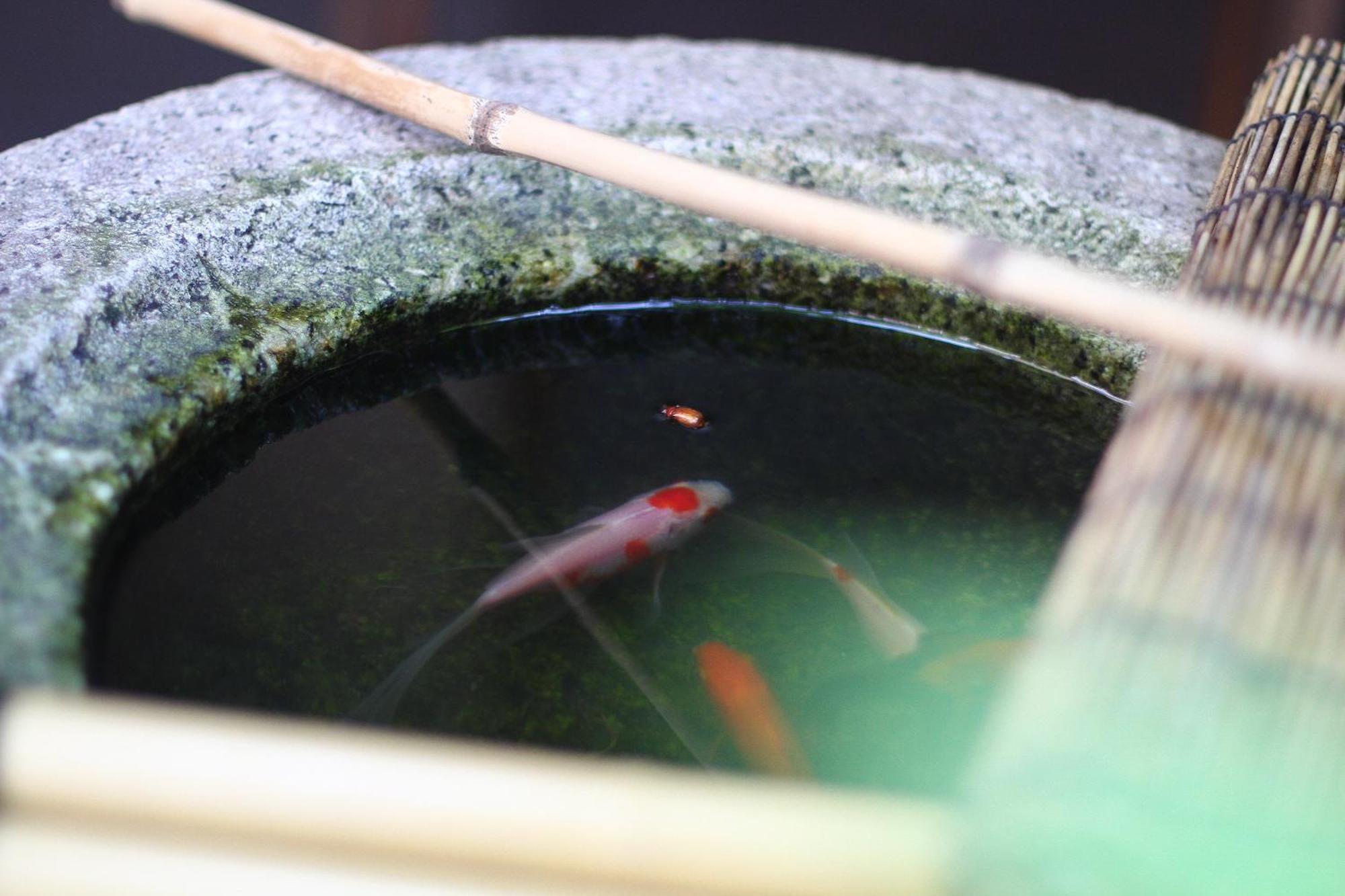 Guesthouse Kyoto Compass — Photos 3